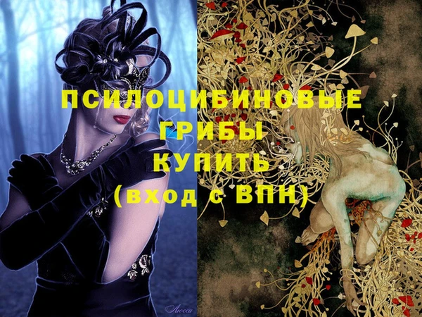 ПСИЛОЦИБИНОВЫЕ ГРИБЫ Каменка