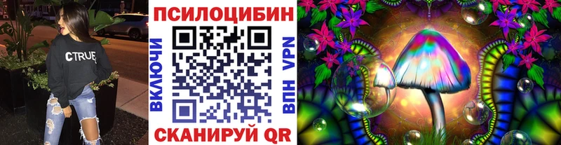 Купить закладки  Горно-Алтайск  Псилоцибиновые грибы GOLDEN TEACHER 